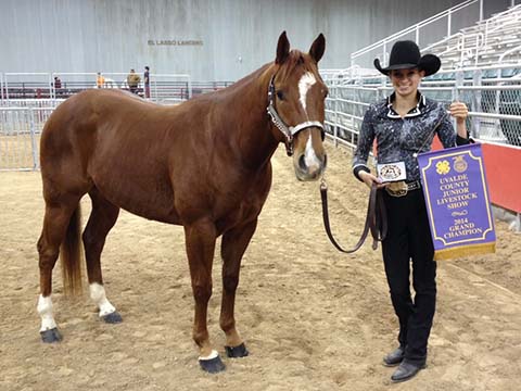 L.A. Waters Quarter Horses - AQHA Ads