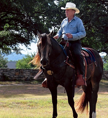 L.A. Waters Quarter Horses - AQHA Ads