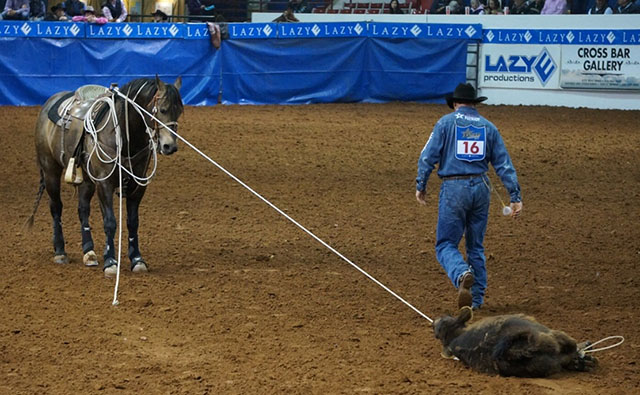 L.A. Waters Quarter Horses - AQHA Ads