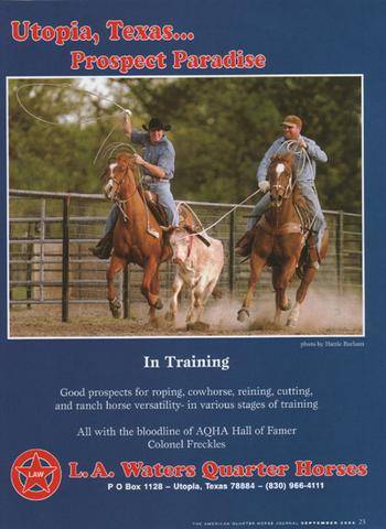 L.A. Waters Quarter Horses - AQHA Ads