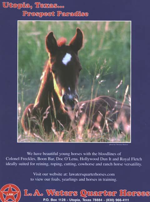 L.A. Waters Quarter Horses - AQHA Ads