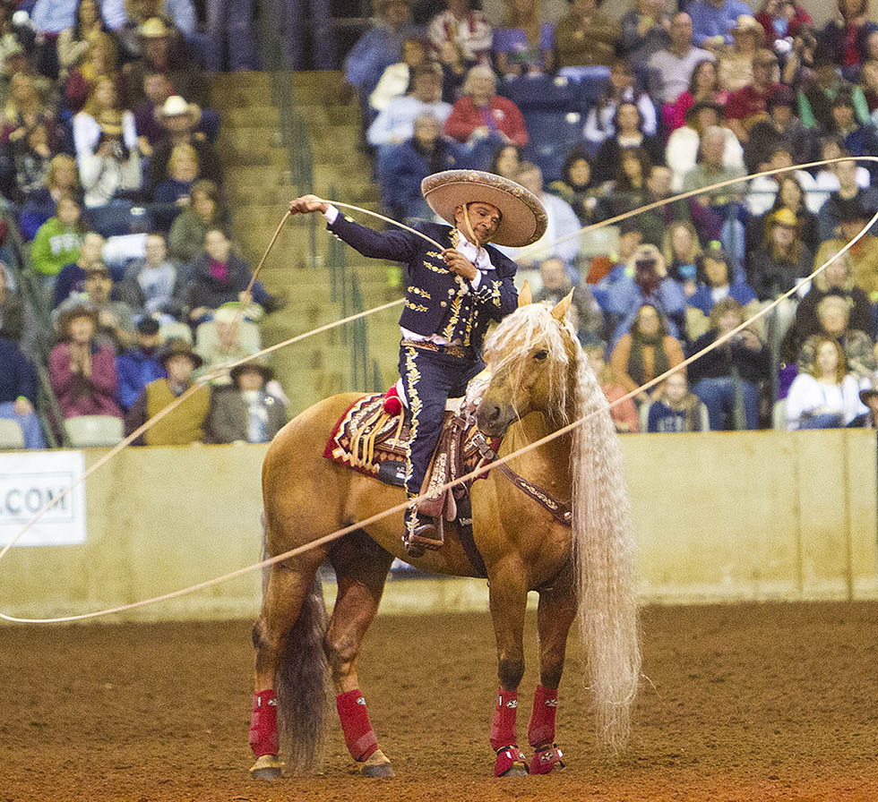 L.A. Waters Quarter Horses - AQHA Ads