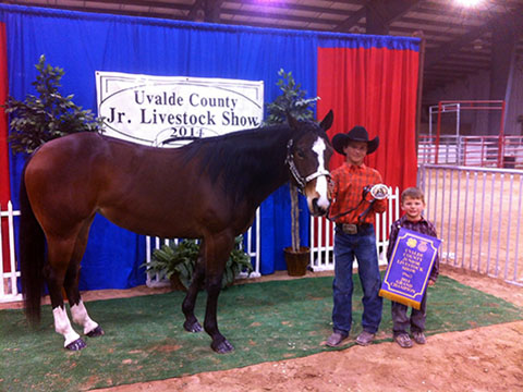 L.A. Waters Quarter Horses - AQHA Ads