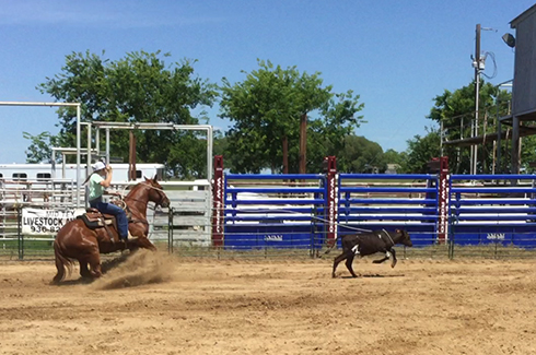 L.A. Waters Quarter Horses - AQHA Ads