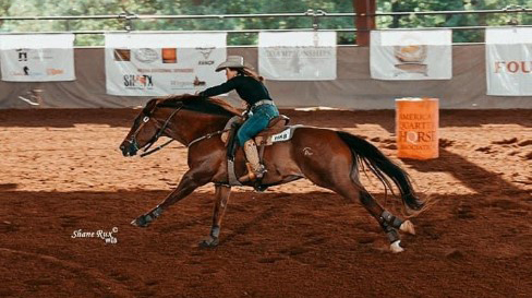 L.A. Waters Quarter Horses