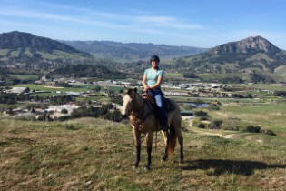 L.A. Waters Quarter Horses