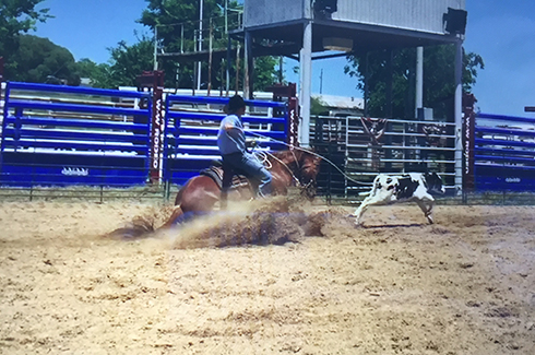 L.A. Waters Quarter Horses - AQHA Ads