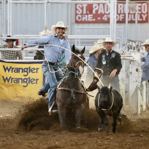 L.A. Waters Quarter Horses