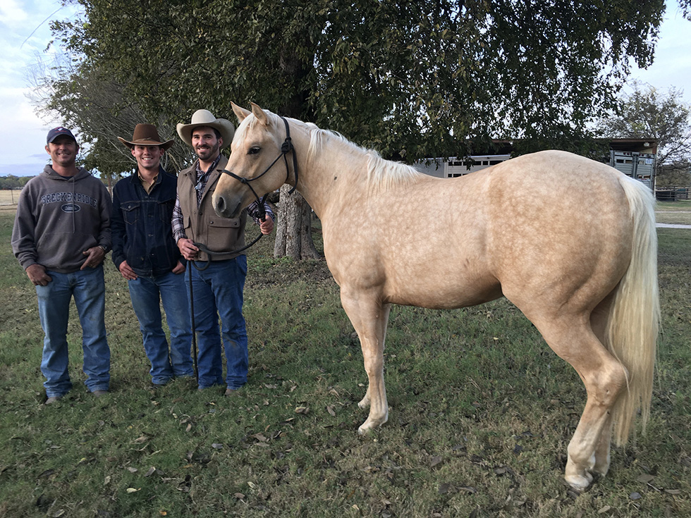 L.A. Waters Quarter Horses - AQHA Ads