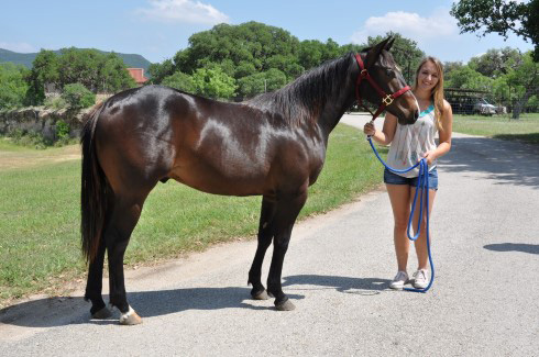 L.A. Waters Quarter Horses - AQHA Ads