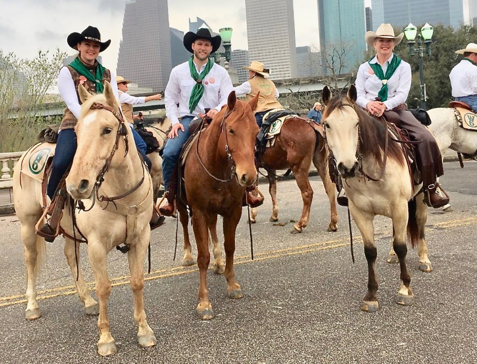 L.A. Waters Quarter Horses - AQHA Ads