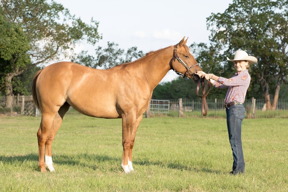 L.A. Waters Quarter Horses - AQHA Ads