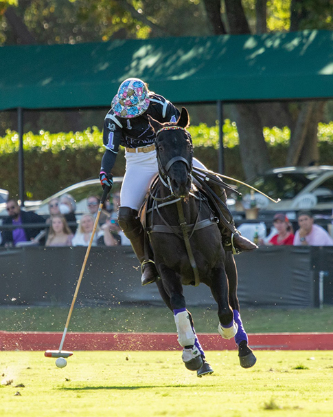 L.A. Waters Quarter Horses