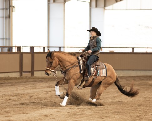 L.A. Waters Quarter Horses