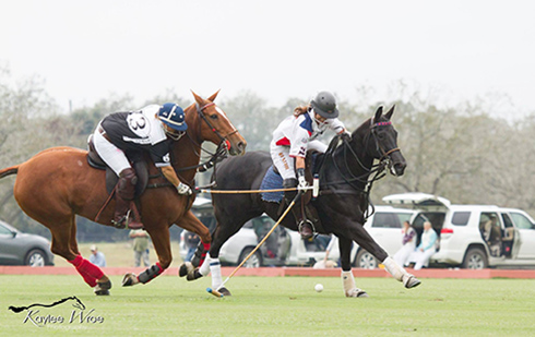 L.A. Waters Quarter Horses - AQHA Ads