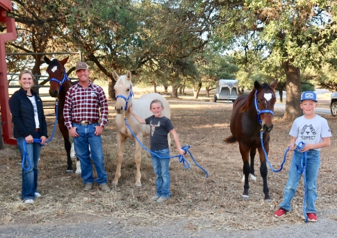 L.A. Waters Quarter Horses