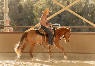 L.A. Waters Quarter Horses