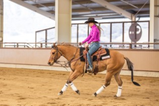 L.A. Waters Quarter Horses