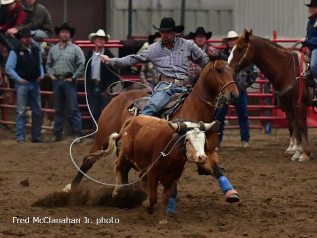 L.A. Waters Quarter Horses - AQHA Ads