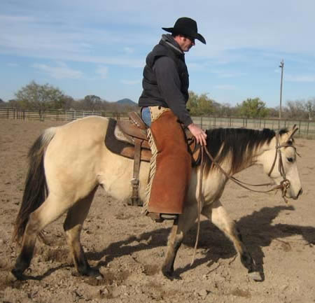 L.A. Waters Quarter Horses