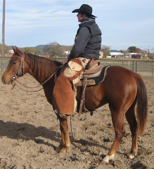 L.A. Waters Quarter Horses