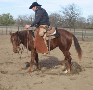 L.A. Waters Quarter Horses