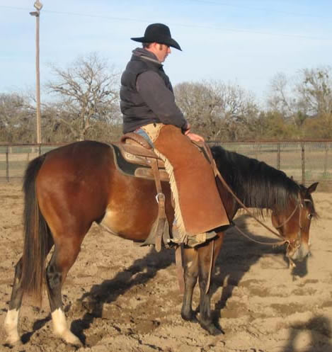 L.A. Waters Quarter Horses