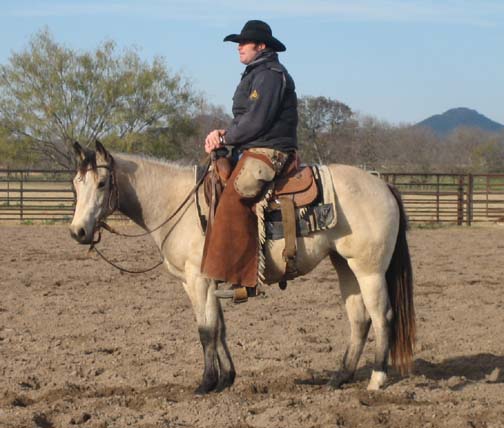 L.A. Waters Quarter Horses