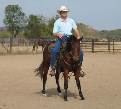 L.A. Waters Quarter Horses