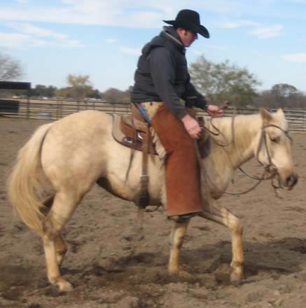 L.A. Waters Quarter Horses