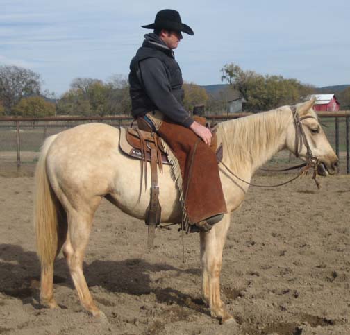 L.A. Waters Quarter Horses