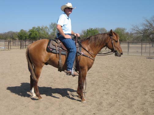 L.A. Waters Quarter Horses