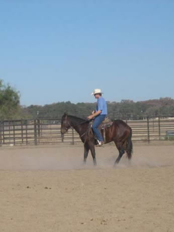 L.A. Waters Quarter Horses