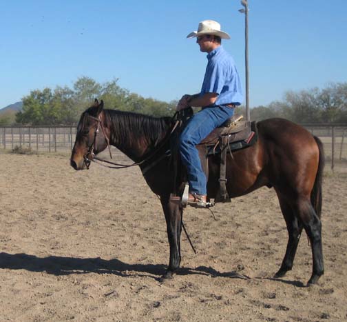 L.A. Waters Quarter Horses