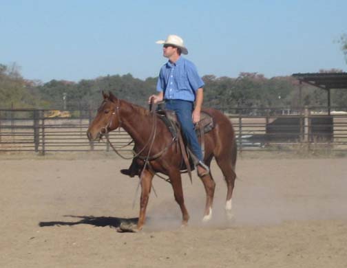 L.A. Waters Quarter Horses