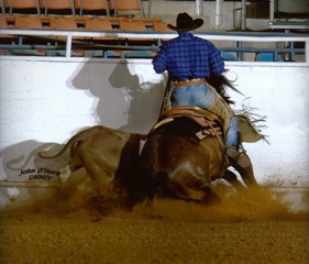 L.A. Waters Quarter Horses