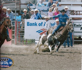 L.A. Waters Quarter Horses